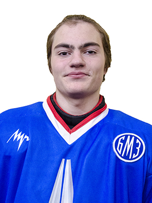 chebotarev