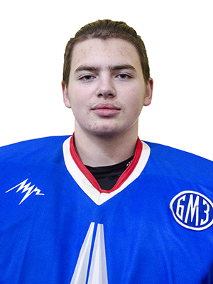 litvinov
