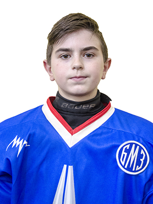 vinitcki