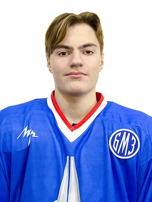 chebotarev