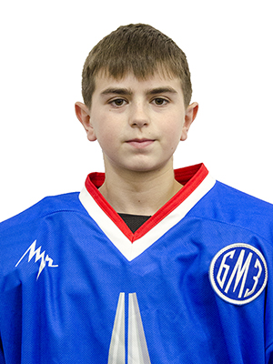 vinitcki
