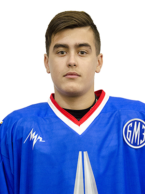 vinogradov