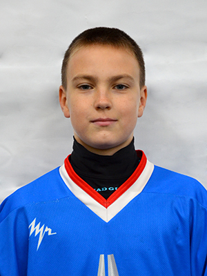 biryukov stepan